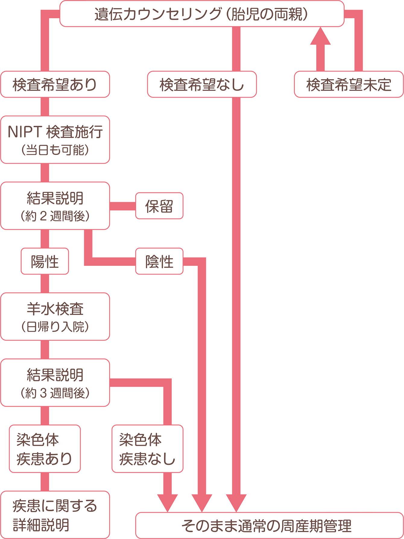 NIPTのフローチャート