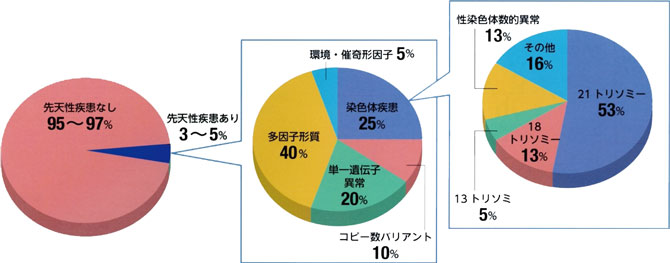 先天性疾患の原因とその種類について